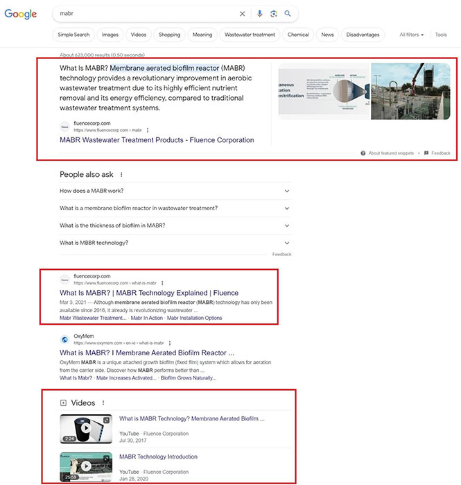 One Company Dominating Search Results for a Keyword Example of Brand Securing Several Top Spots in SERPs